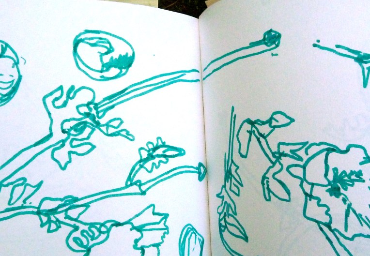 Plants growing in the shingle at Cockle spit beach