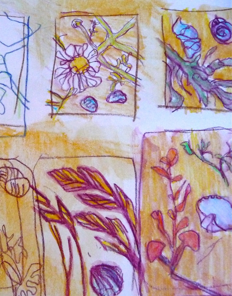 Cocklespit beach, shingle and saltmarsh plants