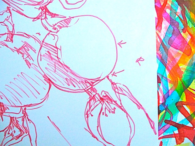 RHS Hyde Hall, Essex, UK - Rose hip sketch with ink colour test