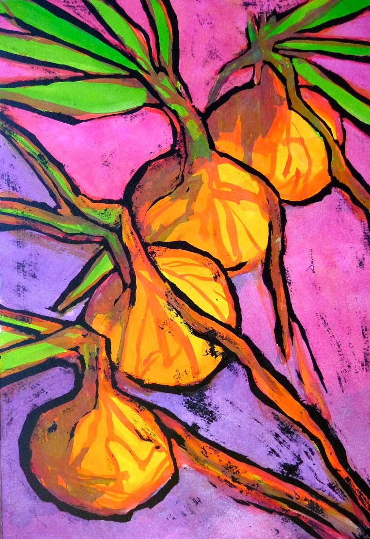 Onion bed RHS Hyde Hall Garden, Essex