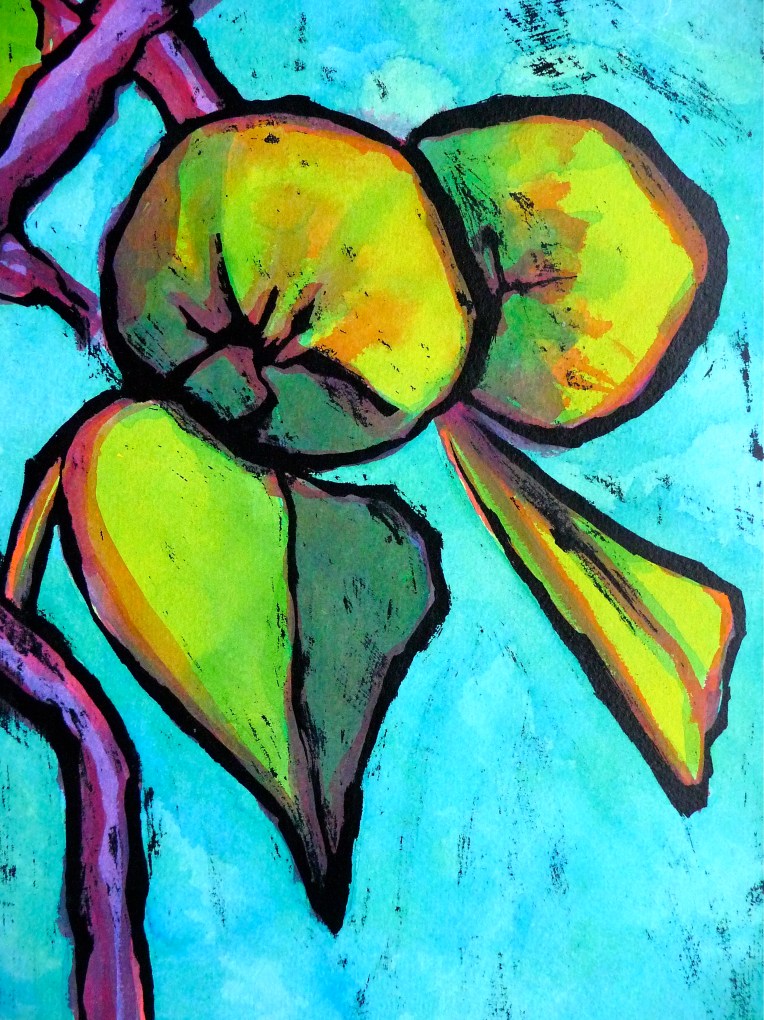 Bramley apples on high branch