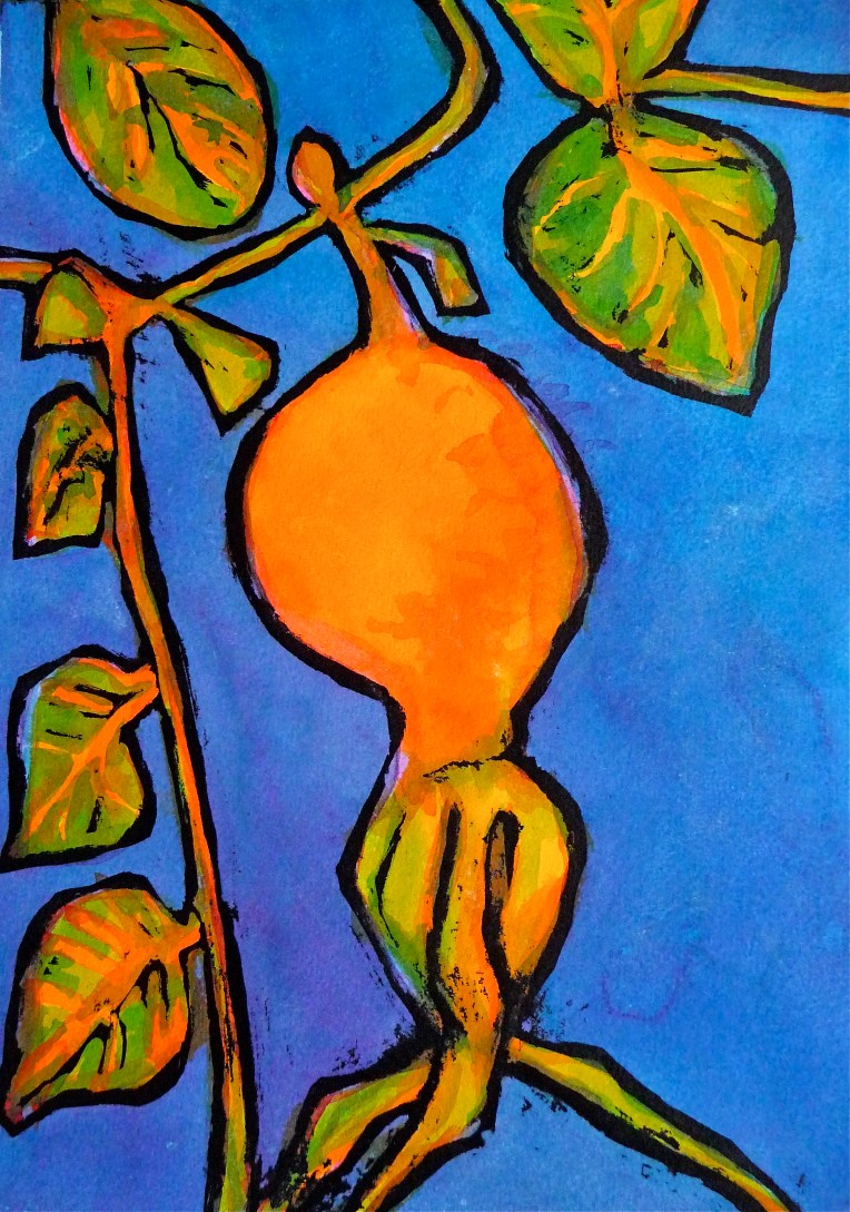 Rose Hip Ripening no.1 -  RHS Garden Hyde Hall