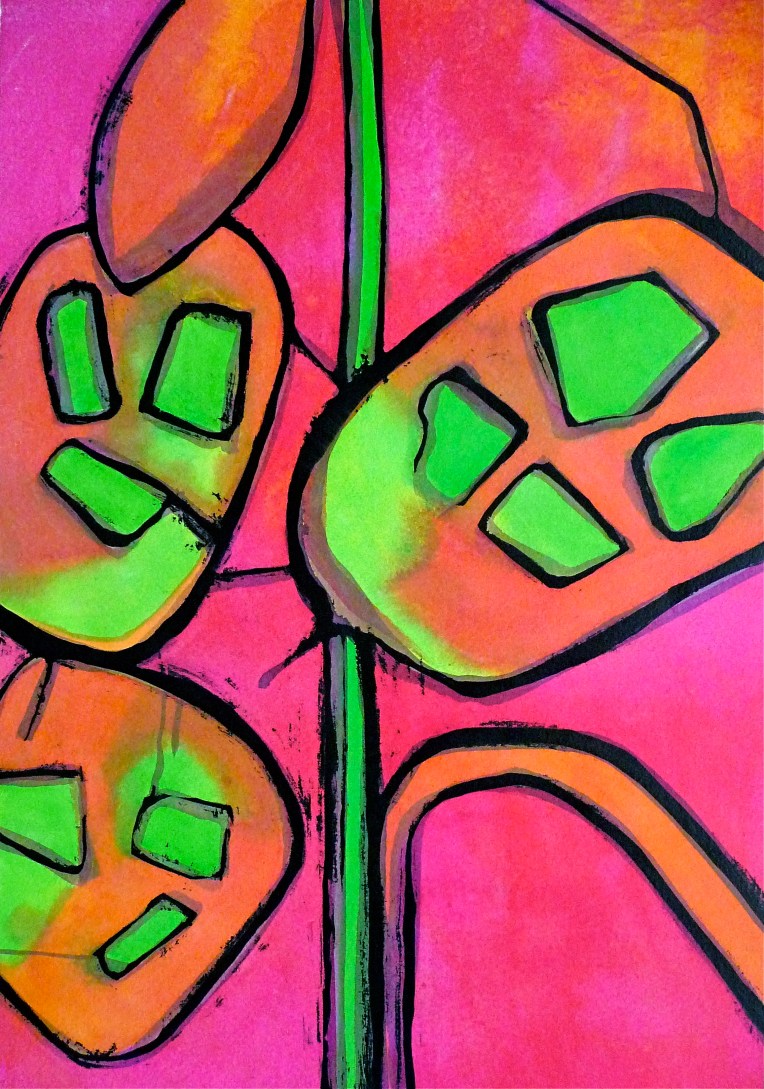 Plant form - Honesty seed head ripening