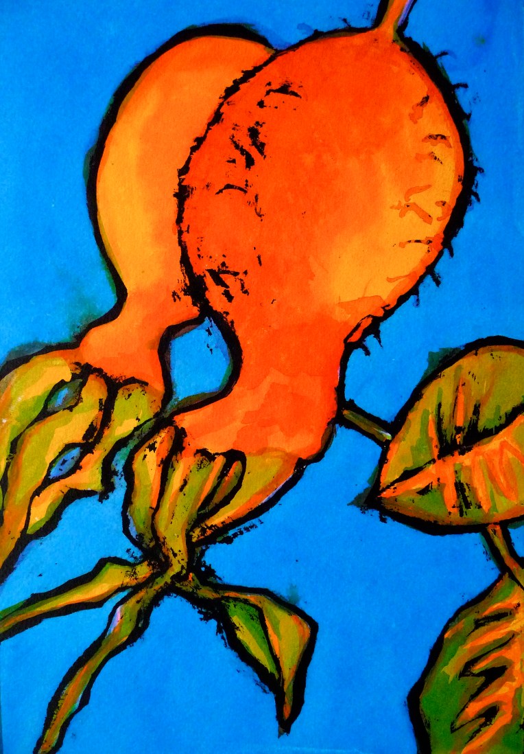 Plant form - Rose hips ripening no.2 - Jenny Hill