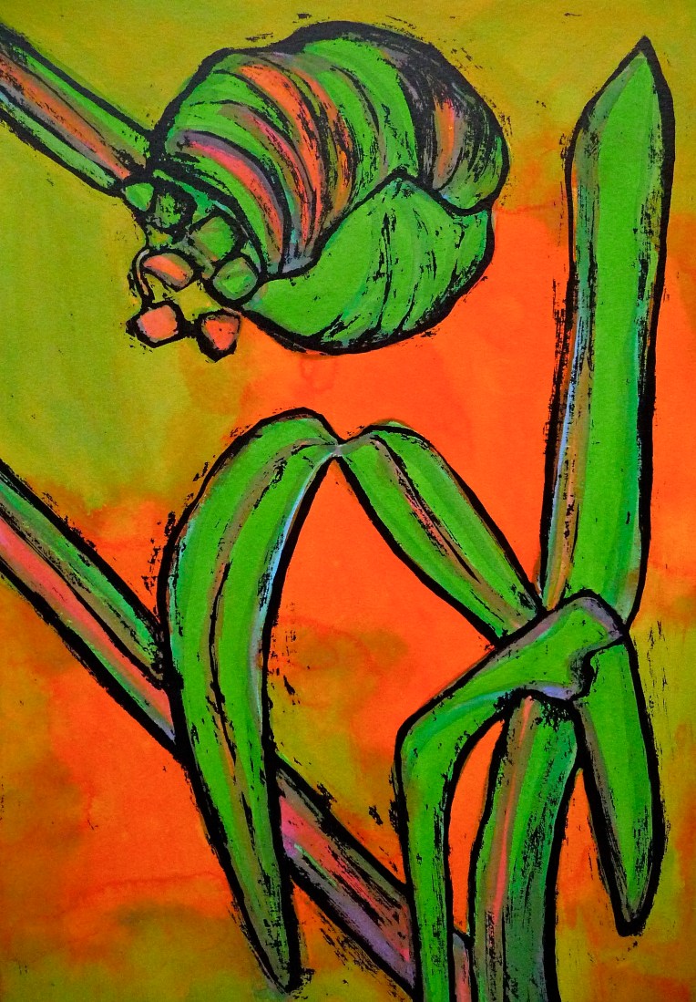 Jenny Hill ink painting - Plant form - Agapanthus bud no.1