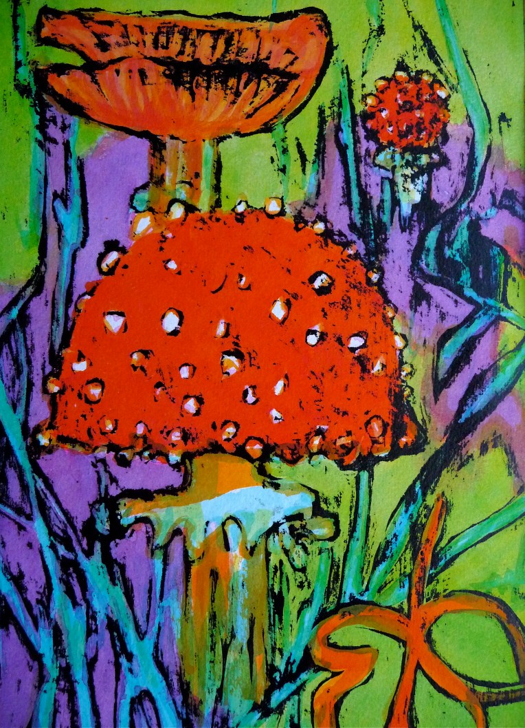 Fungi - Fly Agaric - Jenny Hill
