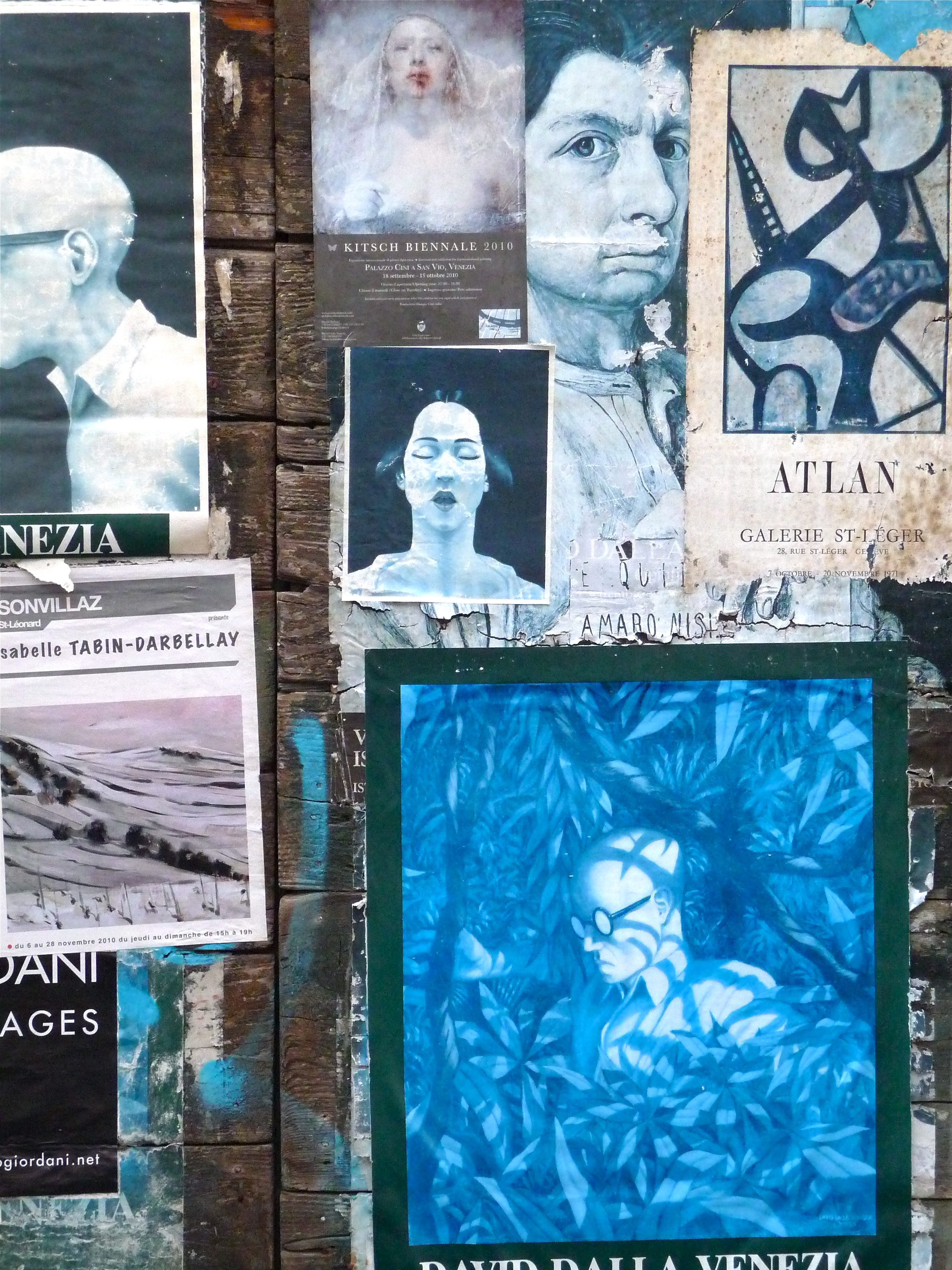 Venice - Window shutters - Jenny Hill