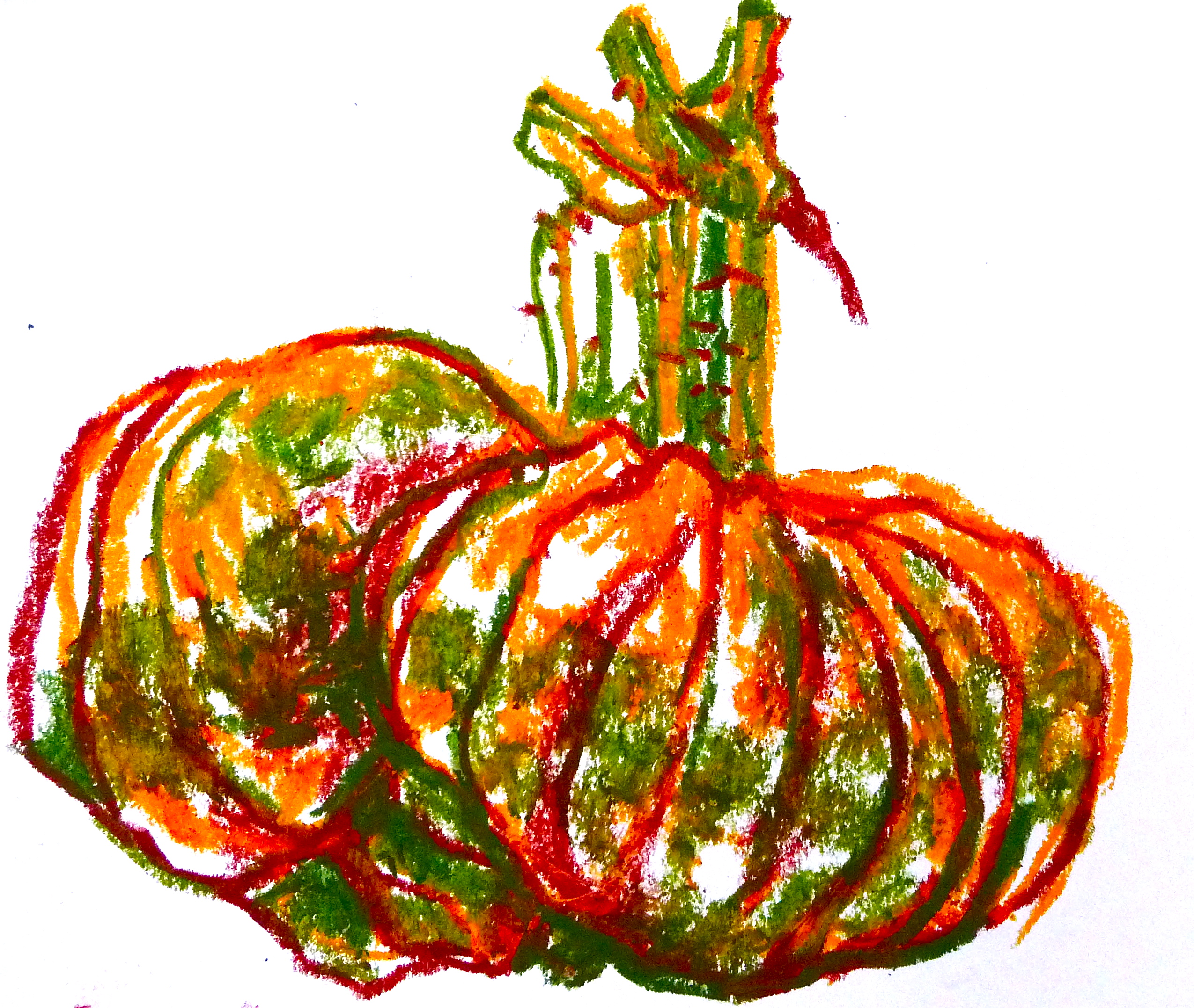 Pumpkin Marina di Chioggia - Oil pastel - Jenny Hill
