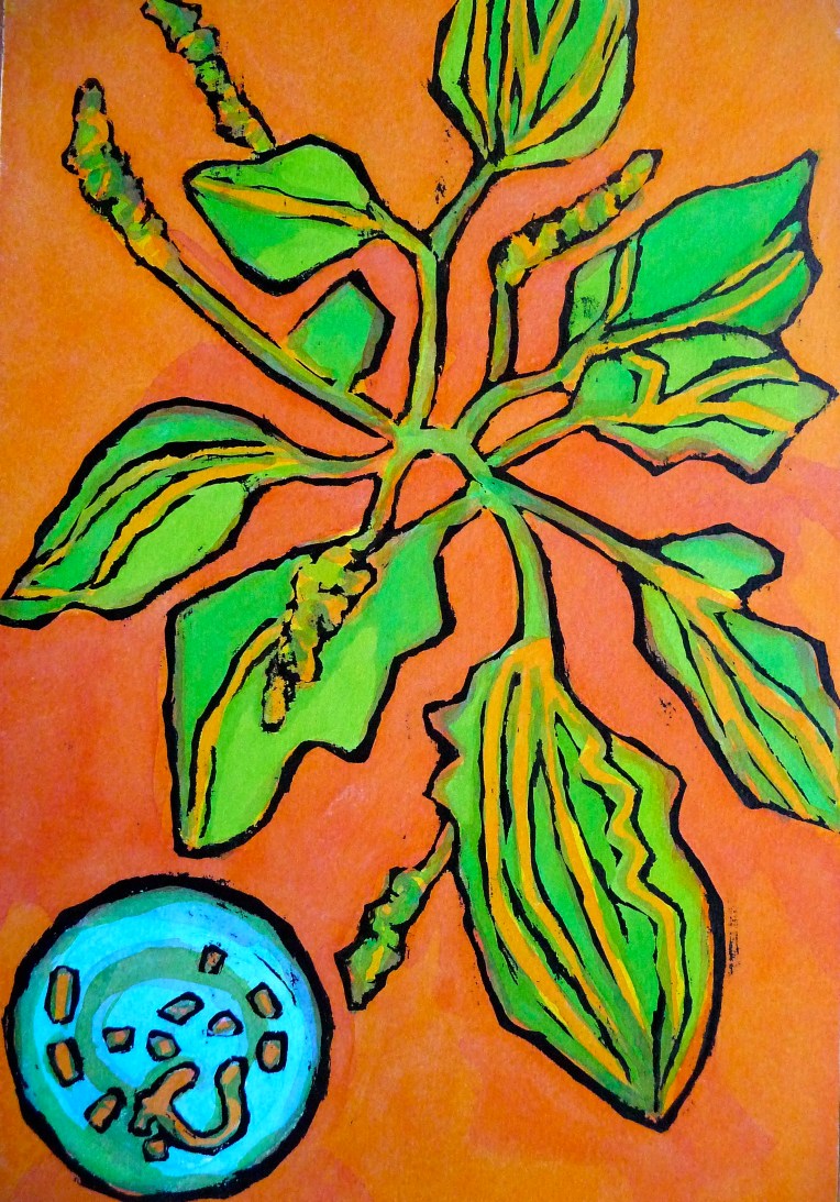 Plantain and clock back - ink - Jenny Hill