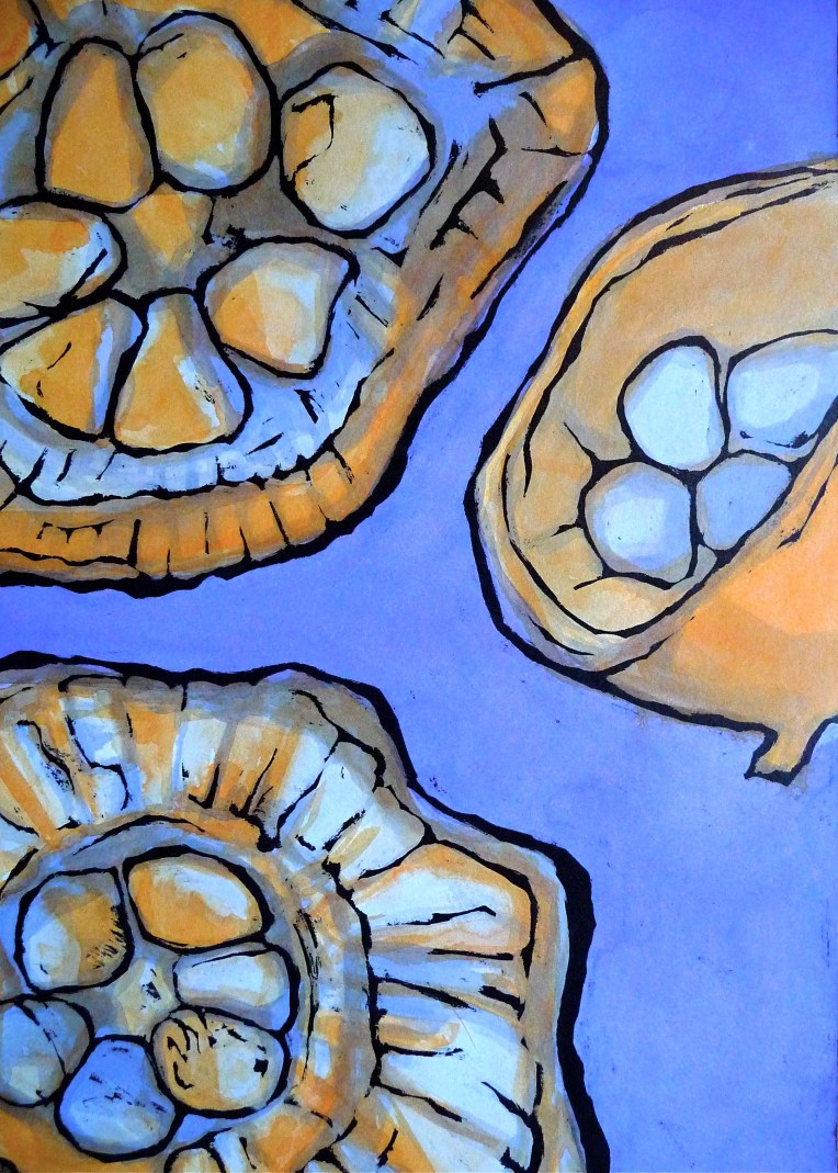 Field Bird's Nest fungi - ink - Jenny Hill