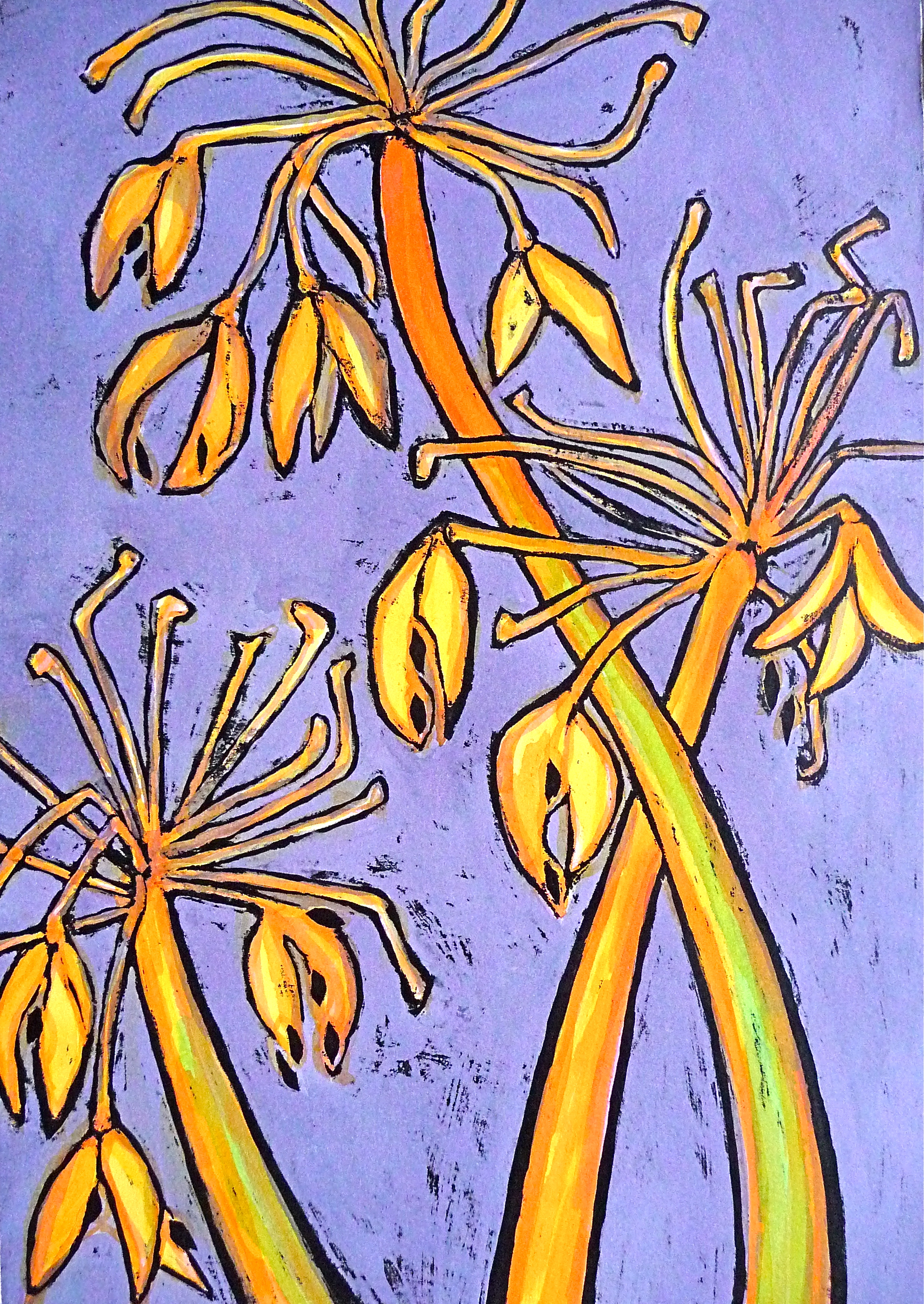Agapanthus winter seed head - ink - Jenny Hill