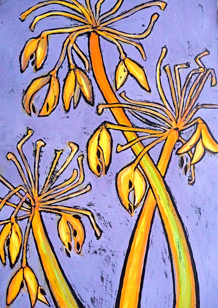 Agapanthus winter seed head - ink - Jenny Hill