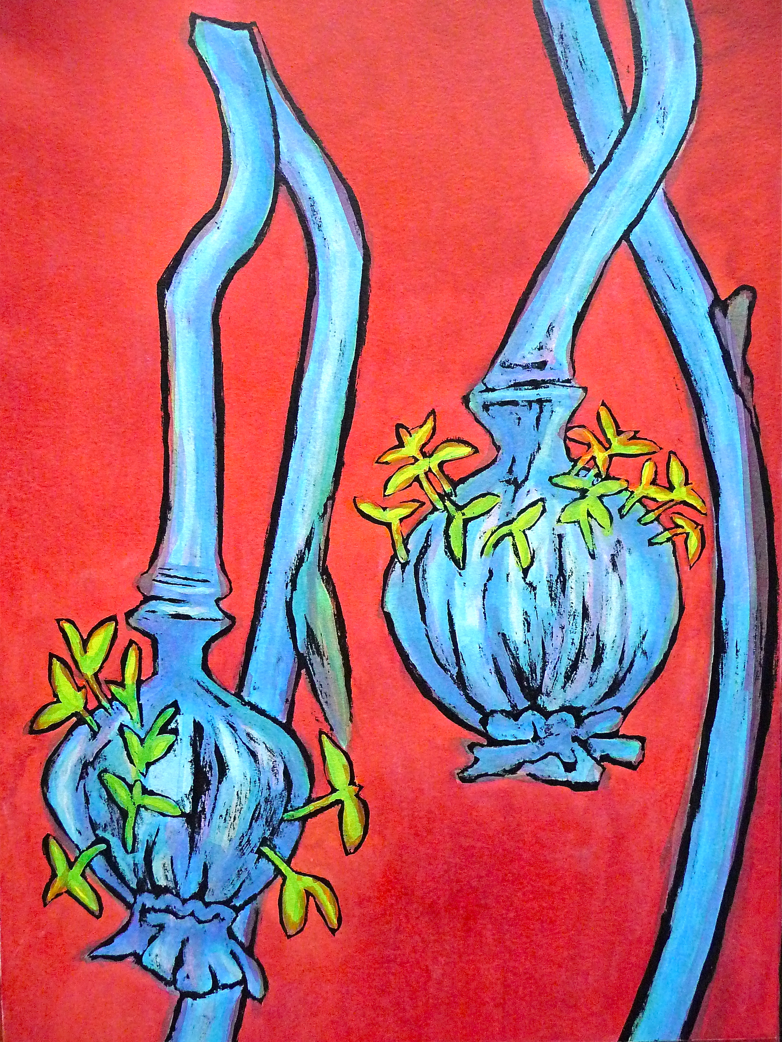 Sprouting poppies - Jenny Hill - Ink