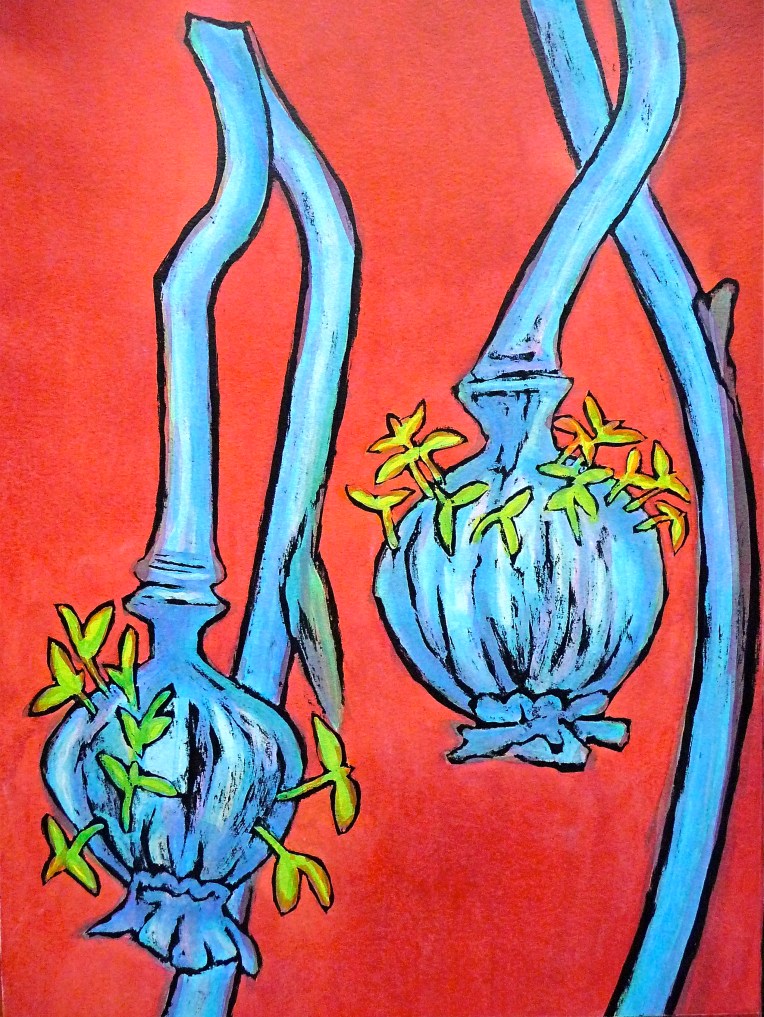 Sprouting poppies - Jenny Hill - Ink