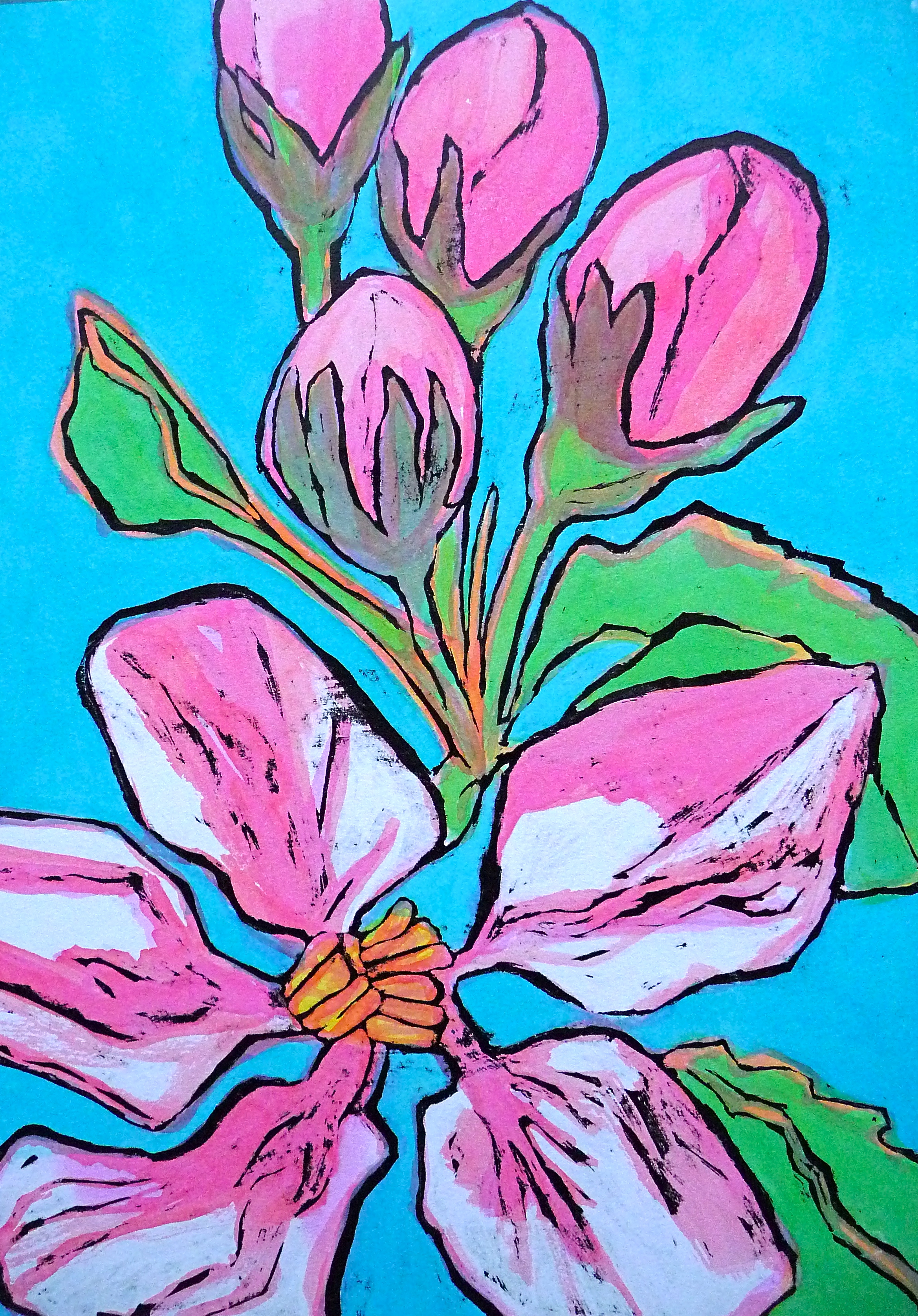 Spring apple blossom - ink - Jenny Hill